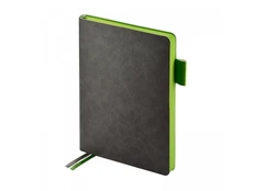 Ежедневник недатированный Bruno Visconti Boston А5, серый/ зеленый фото