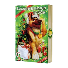 Баул «Новогодняя энциклопедия», разноцветный фото