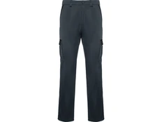 Брюки мужские Roly Trooper, серые / черные фото