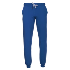 Брюки мужские Stan 62, футер без начеса, синие фото