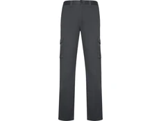 Брюки мужские Roly Daily Stretch, серые фото