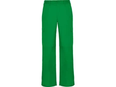 Брюки мужские Roly Daily, зеленые фото