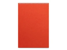 Бизнес-блокнот Альт Office А4, оранжевый фото