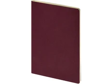 Бизнес-тетрадь Bruno Visconti Pragmatic А5, 80 стр., бордовая фото