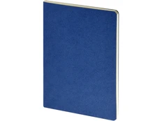 Бизнес-тетрадь Bruno Visconti Pragmatic А5, 80 стр., синяя фото