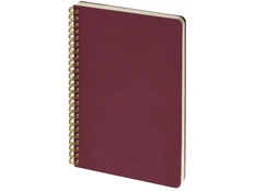 Бизнес-тетрадь Bruno Visconti Pragmatic А5, бордовая фото