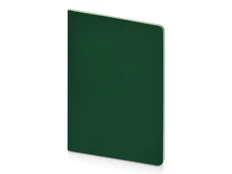 Бизнес-тетрадь Bruno Visconti Pragmatic Contrast А5, зеленая фото