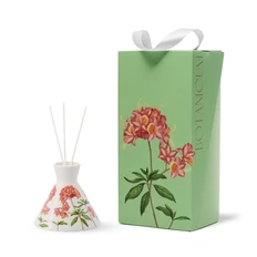 Диффузор Farforite «Рододендрон» Botanicum в подарочной коробке, розовый / зеленый фото