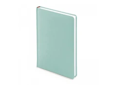 Ежедневник недатированный Альт Velvet А5, нежно-зеленый фото