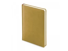 Ежедневник недатированный Альт Velvet А5, золотой фото