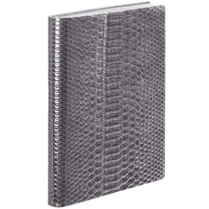 Ежедневник недатированный Escalada Anaconda А5, серебристый фото