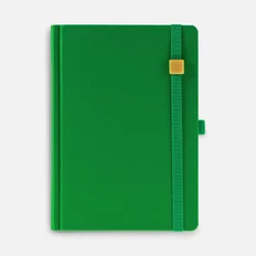 Ежедневник недатированный Favor Gold А5, ярко-зеленый фото