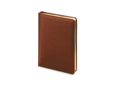 Ежедневник датированный Альт Sidney Nebraska А5, коричневый фото