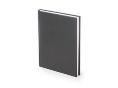 Ежедневник датированный Альт Ideal New А5, 2025 год, черный фото