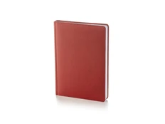 Ежедневник датированный Bruno Visconti Leader А5, бордовый фото