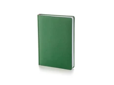 Ежедневник датированный Bruno Visconti Leader А5, зеленый фото