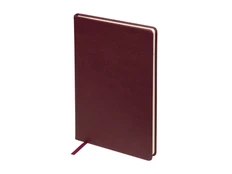 Ежедневник датированный Bruno Visconti Megapolis Loft А5 на 2026, бордовый фото
