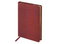 Ежедневник недатированный Bruno Visconti Amazonia А5, бордовый фото