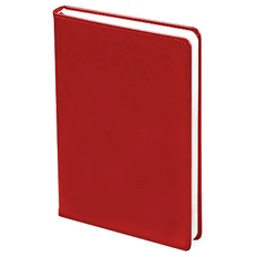 Ежедневник недатированный Clicra City Buffalo А5, красный фото