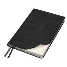 Ежедневник недатированный Clicra Urban Elegiya Ausone A5, черный / серебристый фото