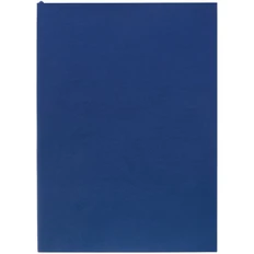 Ежедневник недатированный Inspire Flat Light А5, ver.2, синий фото