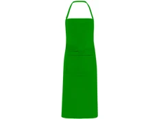 Фартук Roly Ducasse, зеленый фото