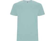 Футболка мужская хлопковая Roly Stafford, голубая фото