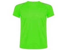 Футболка мужская спортивная Roly Sepang, зеленая фото