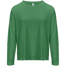 Футболка с длинным рукавом женская Sol's Monarch Women, ярко-зеленая фото