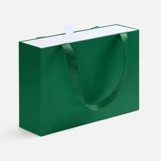 Коробка Regalis, зеленая фото