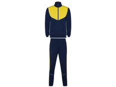 Костюм спортивный мужской Roly Evans, синий / желтый фото