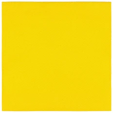 Лейбл тканевый Epsilon, L, желтый фото