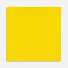 Лейбл тканевый Epsilon, L, желтый фото