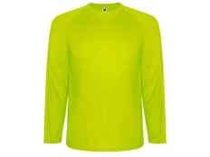 Лонгслив мужской Roly Montecarlo, желтый фото