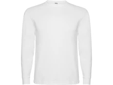 Лонгслив мужской Roly Pointer, белый фото