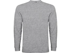 Лонгслив мужской Roly Pointer, серый фото