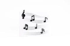 Магнит Memody Magnet, 6 шт, черный фото