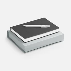 Набор Basis: ежедневник датированный, ручка шариковая, серый фото