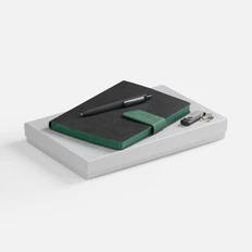 Набор Boom Memory: ежедневник недатированный, флешка, ручка шариковая, черный / зеленый фото