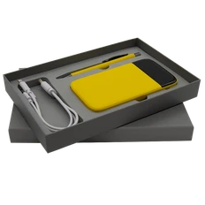 Набор Bplanner Power: ручка шариковая металлическая, внешний аккумулятор 10000 mAh, желтый / серый фото