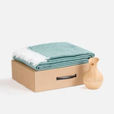 Набор Breezelite: плед и увлажнитель-ароматизатор настольный, зеленый фото