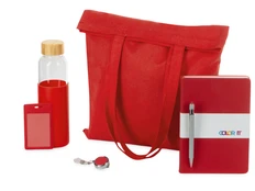 Набор Color Refine: блокнот, ручка, чехол для пропуска с ретрактором, бутылка, шоппер, красный фото