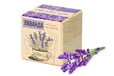 Набор для выращивания Экокуб, лаванда фото