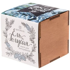 Набор для выращивания «Экокуб Lite», ель голубая, бежевый фото