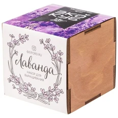 Набор для выращивания «Экокуб Lite», лаванда, бежевый фото