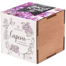 Набор для выращивания «Экокуб Lite», сирень, бежевый фото