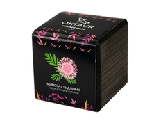 Набор для выращивания Small Village Cube «Мимоза стыдливая», черный фото