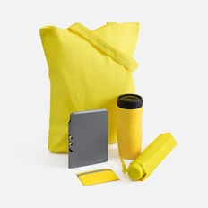 Набор Dual Umbrella: зонт, термостакан, ежедневник недатированный, холщовая сумка, чехол для карточек, желтый / серый фото
