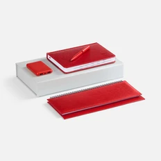 Набор Faro Energy: внешний аккумулятор 5000 mAh, ежедневник датированный, планинг, ручка шариковая, красный фото