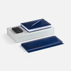 Набор Faro Energy: внешний аккумулятор 5000 mAh, ежедневник датированный, планинг, ручка шариковая, синий фото